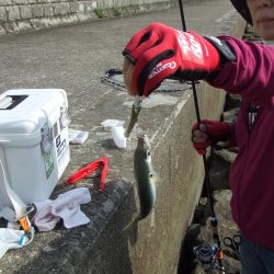 サバゲーもルアー次第ですね。